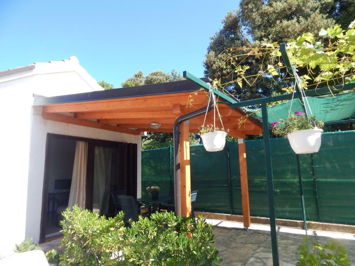 Apartman Duje Petrcane Εξωτερικό φωτογραφία
