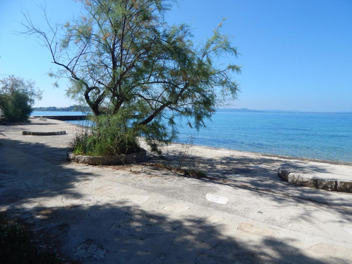 Apartman Duje Petrcane Εξωτερικό φωτογραφία