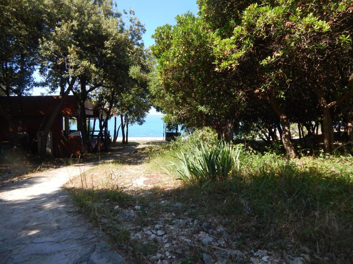 Apartman Duje Petrcane Εξωτερικό φωτογραφία