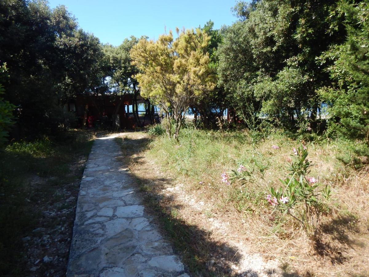 Apartman Duje Petrcane Εξωτερικό φωτογραφία